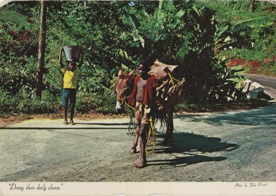 Boys in Hill Rural Jamaica